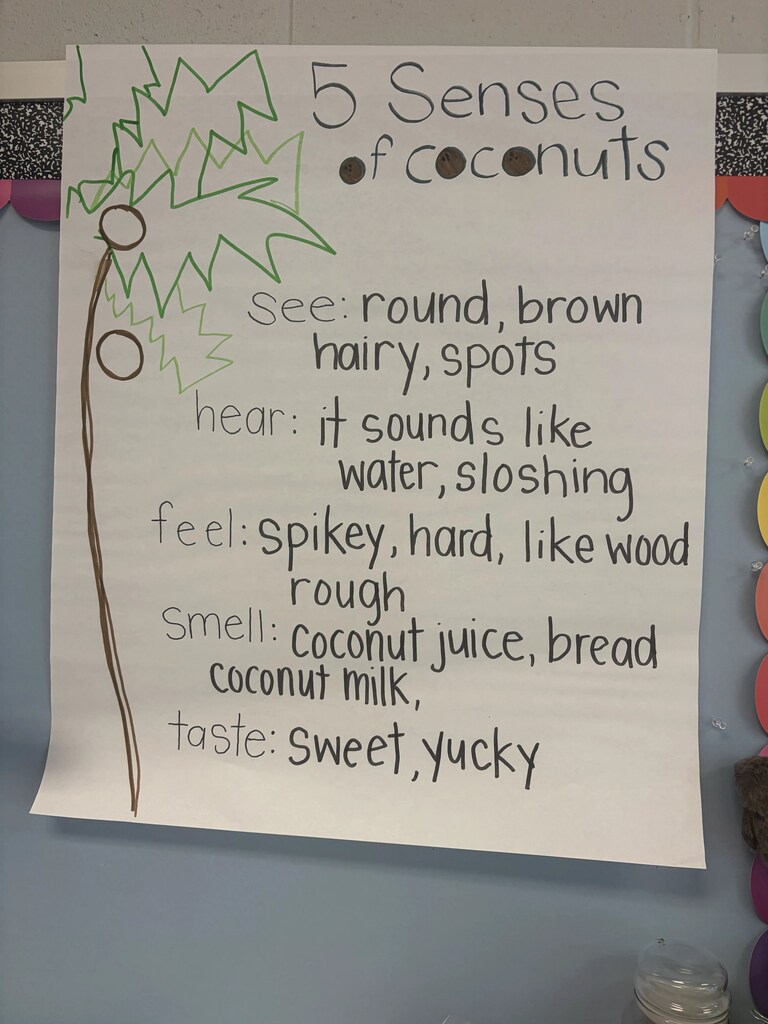5 senses of coconut chart 