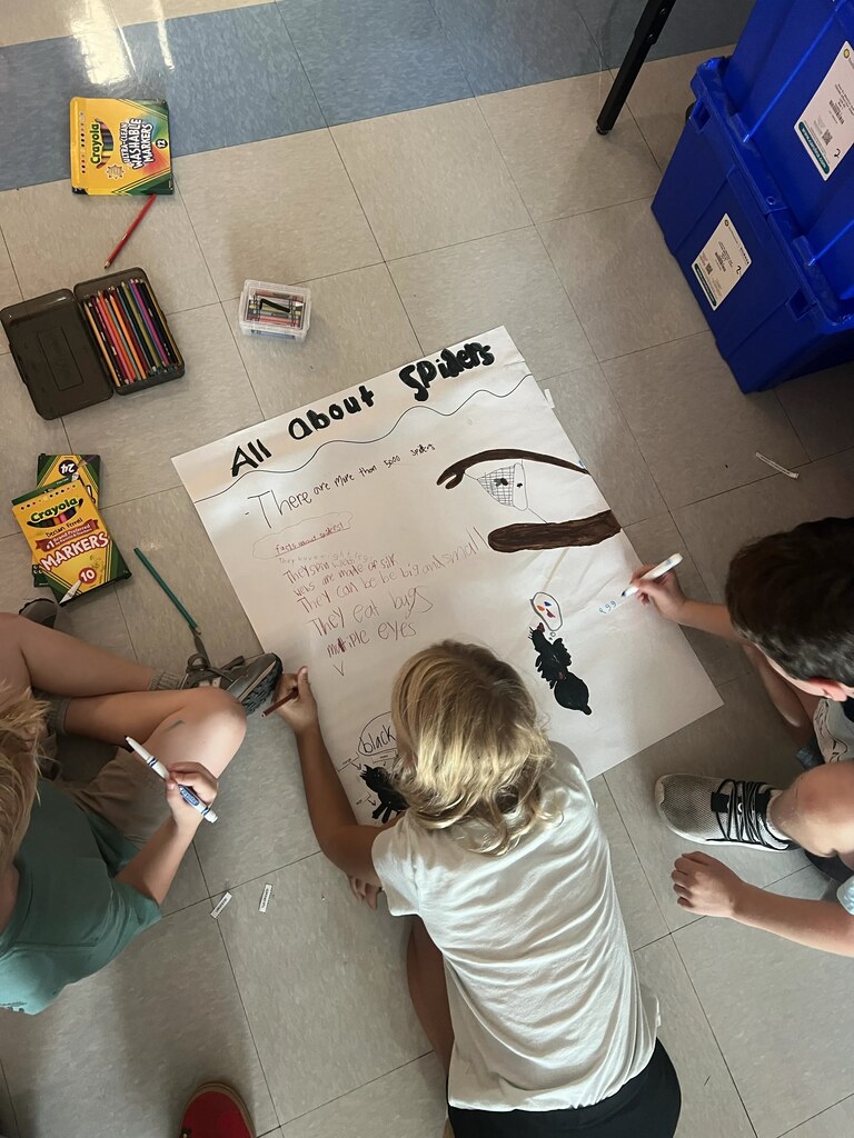 2nd graders working in small groups on a poster project