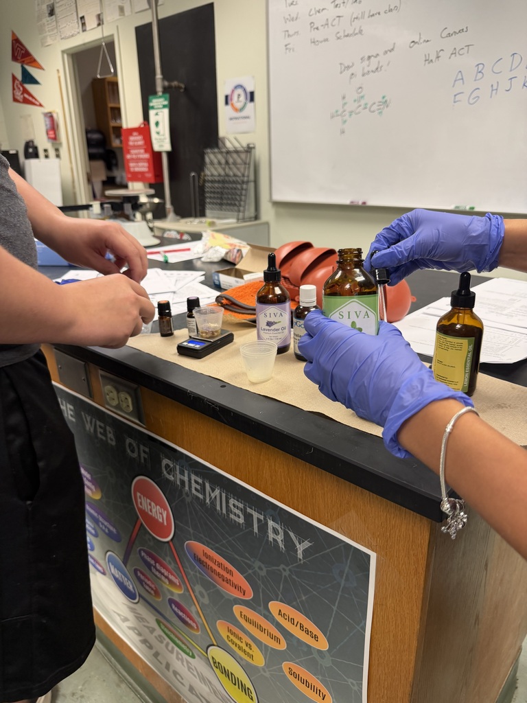 Chemistry students making soap