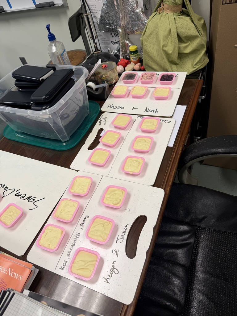 Chemistry students making soap