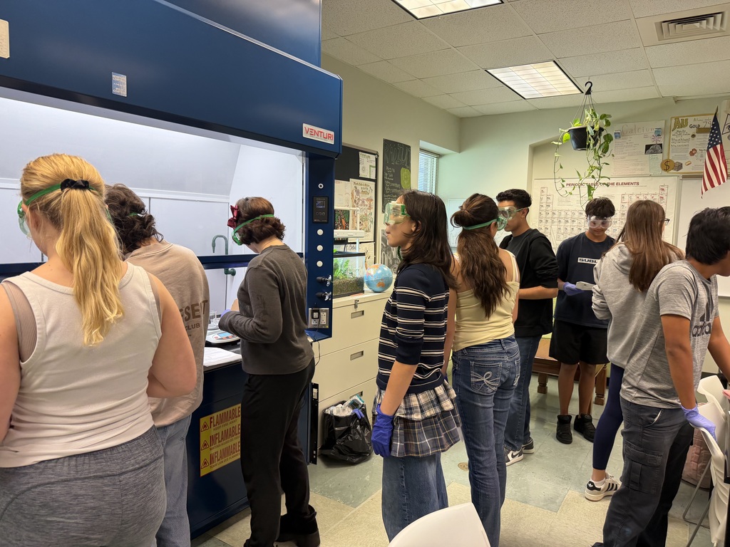 Chemistry students making soap