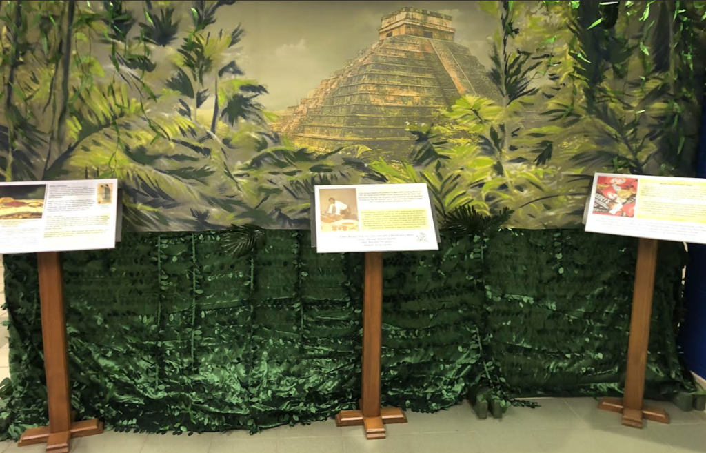 Rainforest
