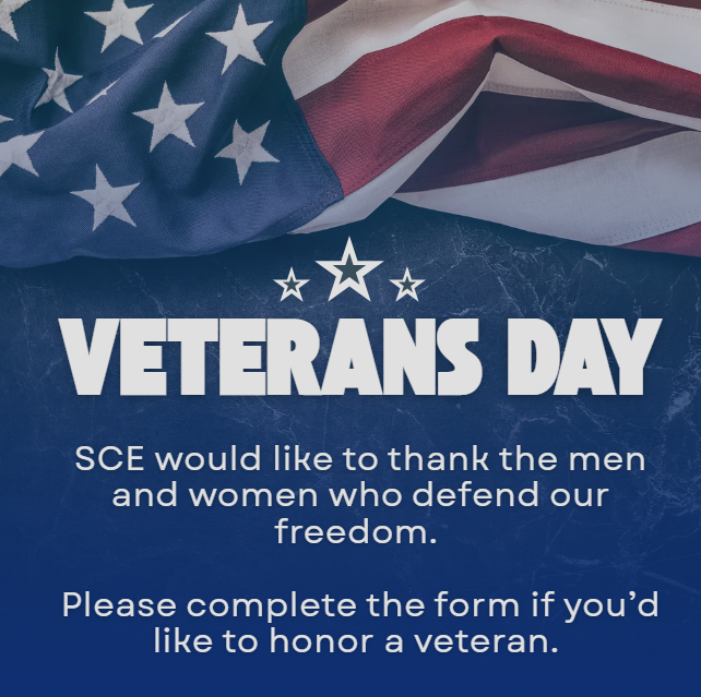 veterans day information