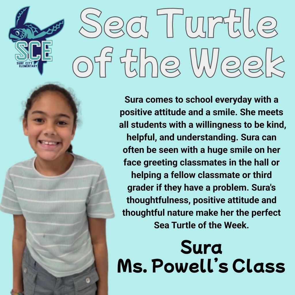 sea turtle of the week
