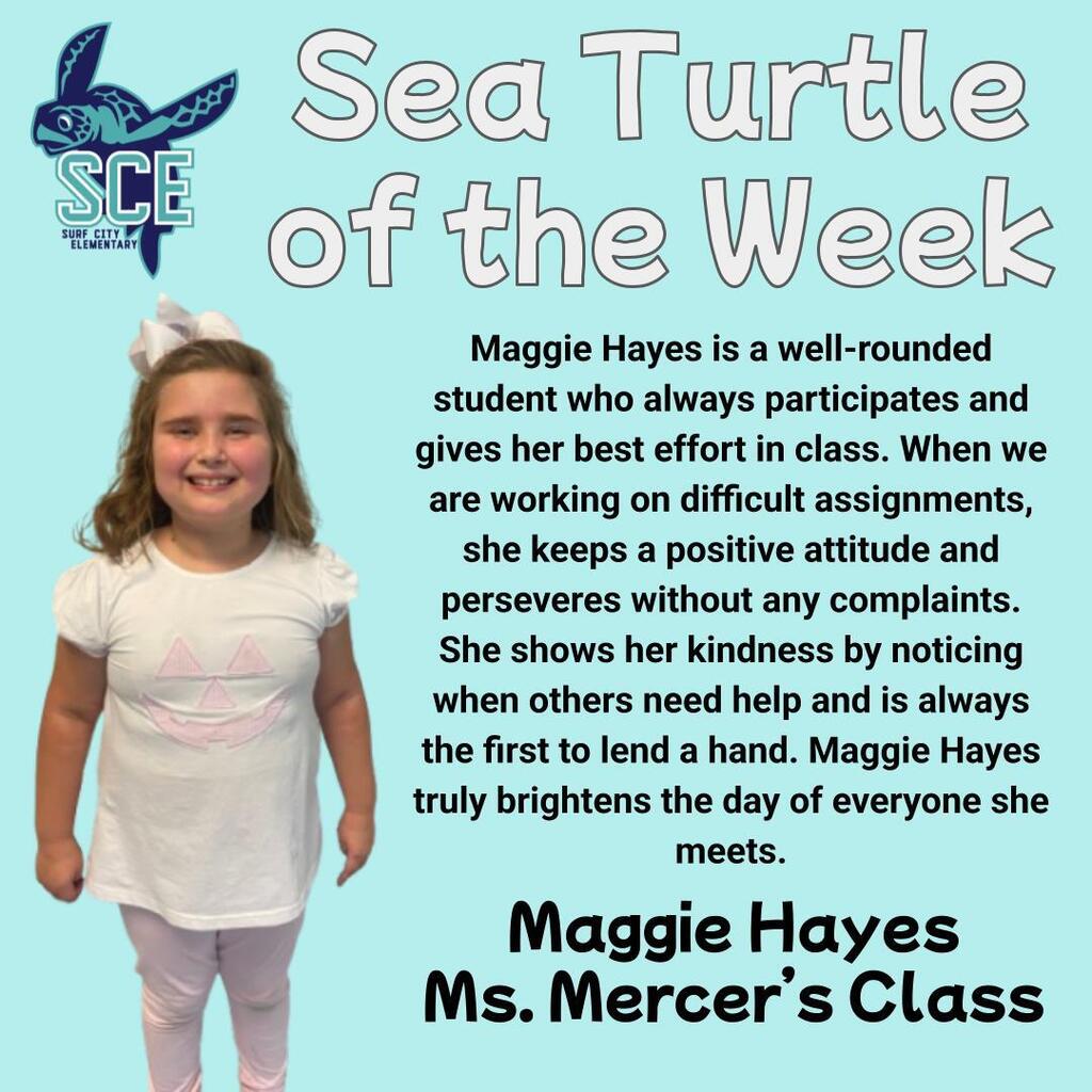 sea turtle of the week