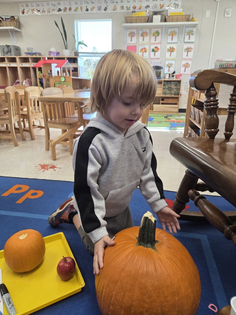 PreK students working on gutting a pumpkin