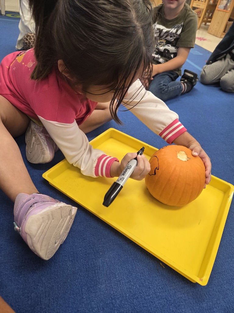 PreK students working on gutting a pumpkin