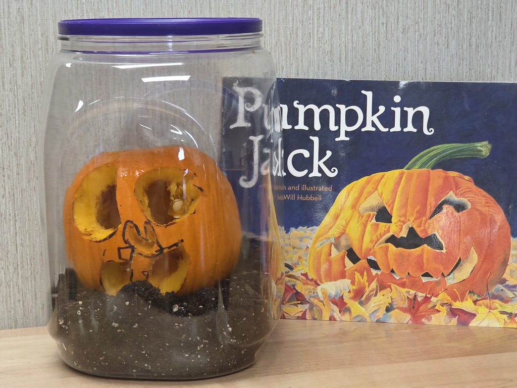 PreK students working on gutting a pumpkin