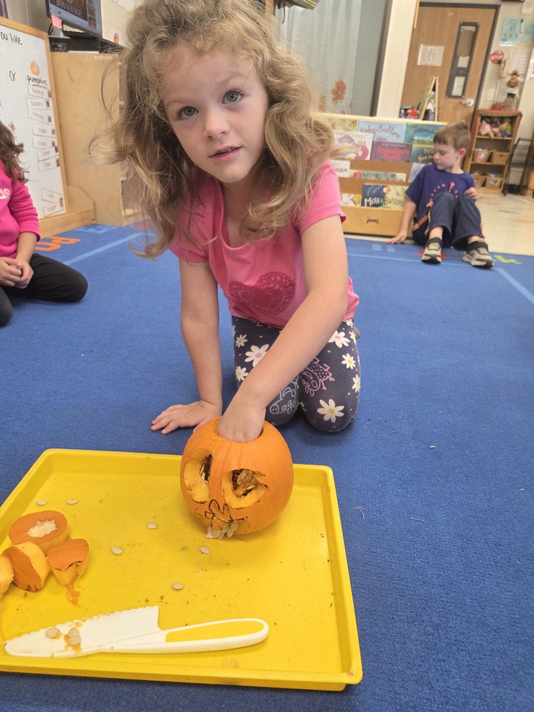 PreK students working on gutting a pumpkin