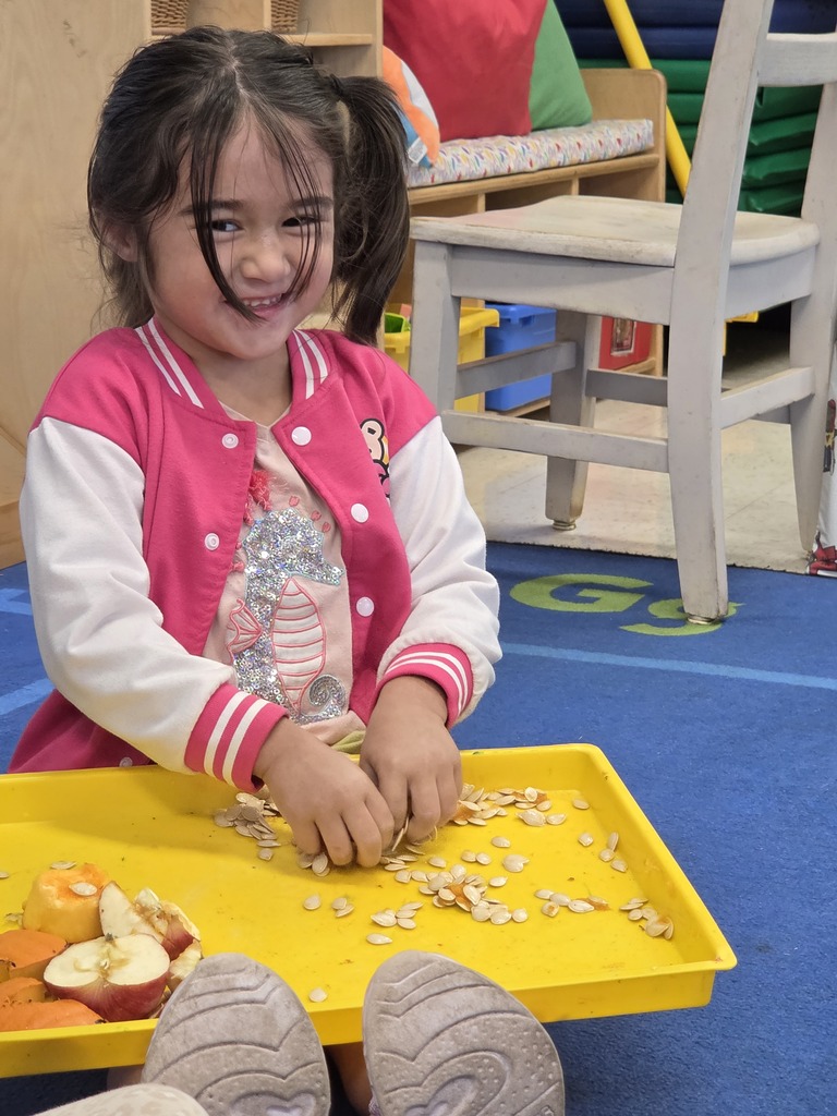 PreK students working on gutting a pumpkin