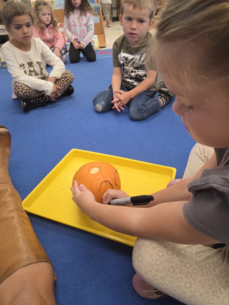 PreK students working on gutting a pumpkin