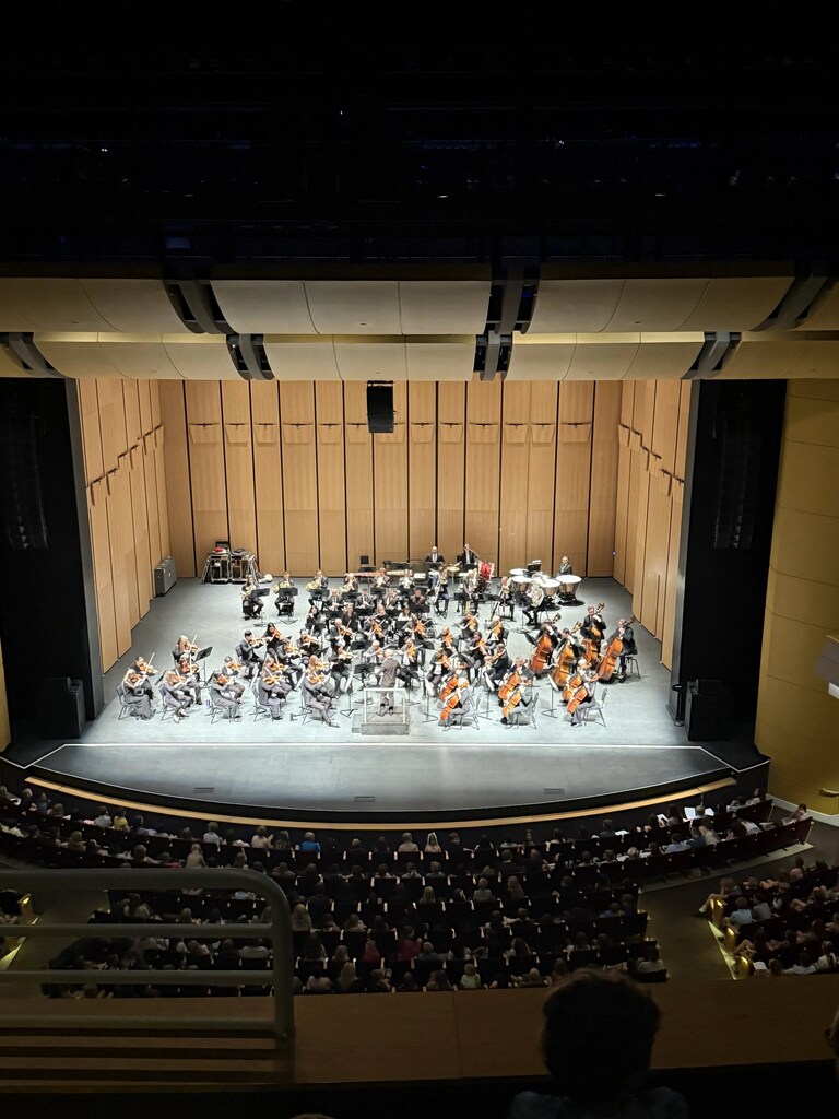 4th graders at the Wilson Center watching the NC Symphony 