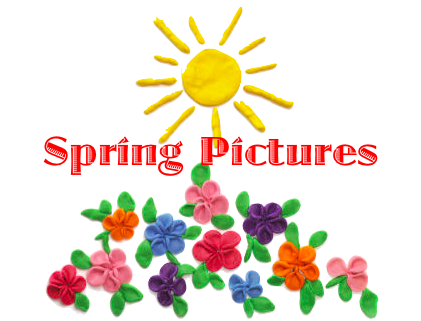 Pictures