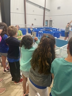 first graders at the sea turtle hospital