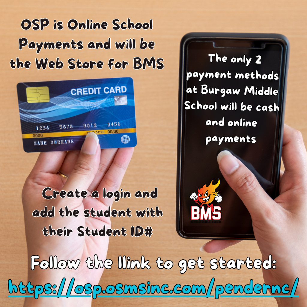 online payment system information with graphics
