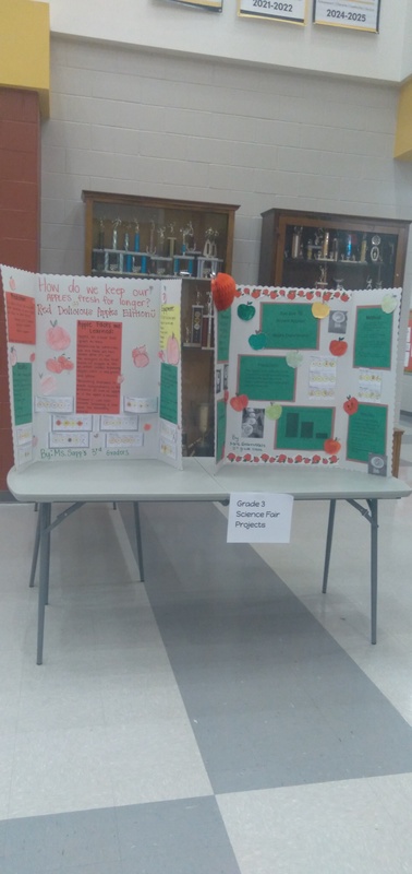Science Fair!