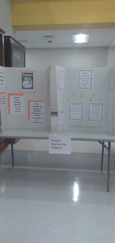 Science Fair!