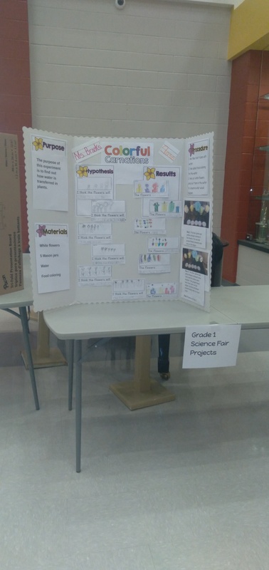 Science Fair!