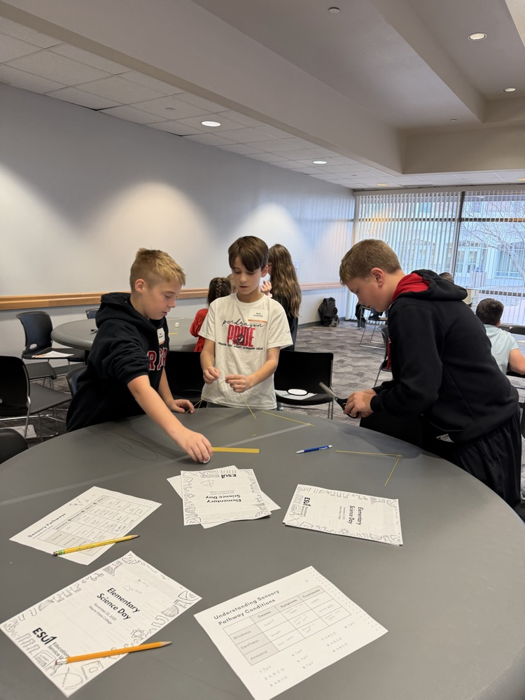 Building the tallest tower  