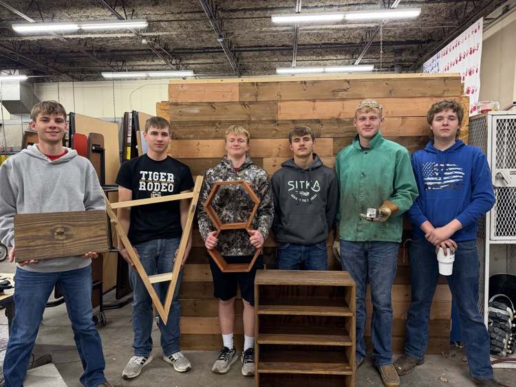 seniors final projects