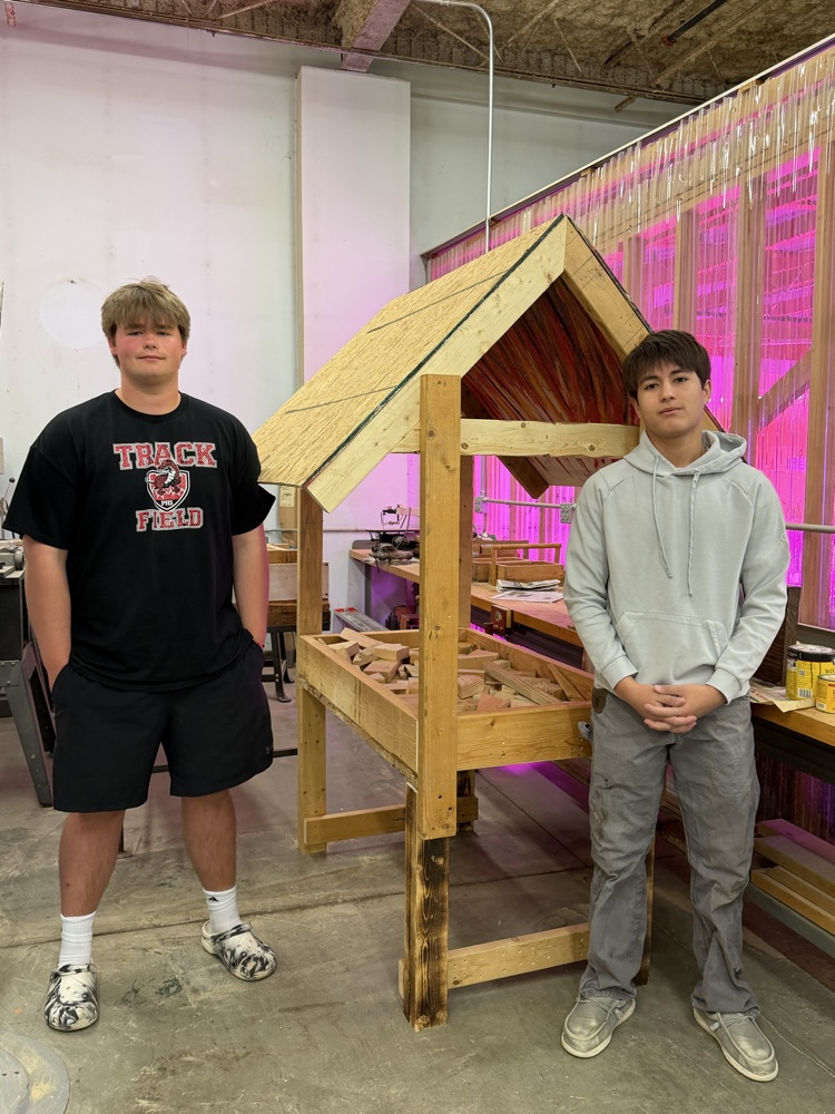 Deer feeder by Linkin and James