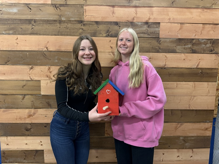 bird house by Megan and Sadie