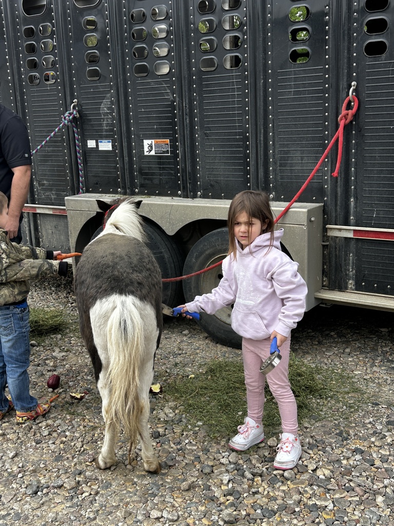 brushing the pony 