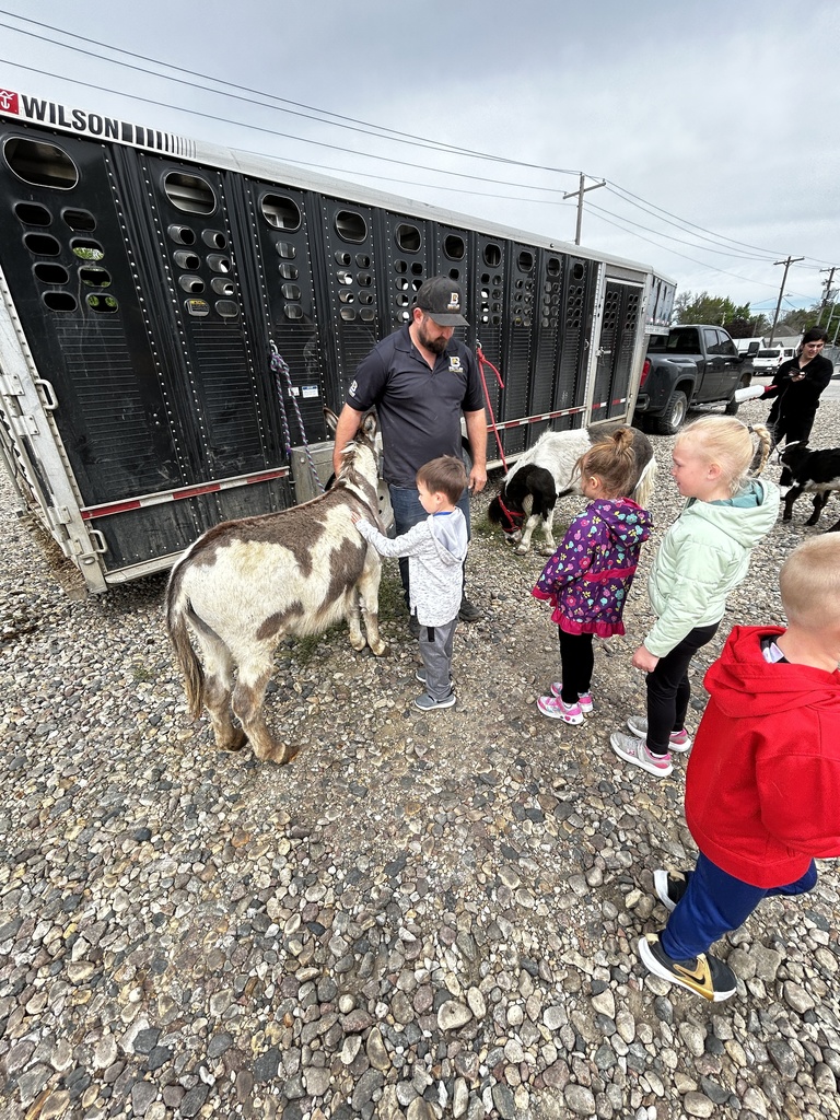 donkey petting 