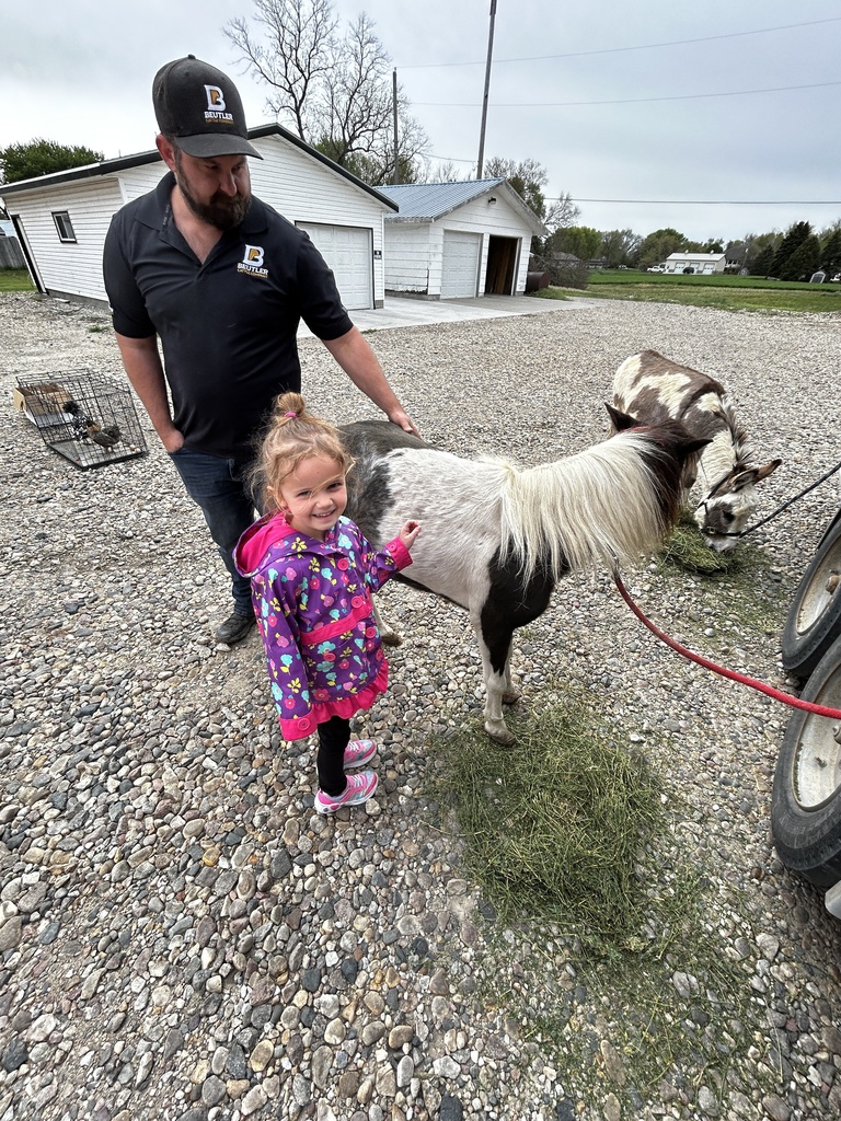 Petting the pony