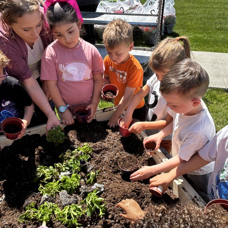 adding dirt and picking out flowers 