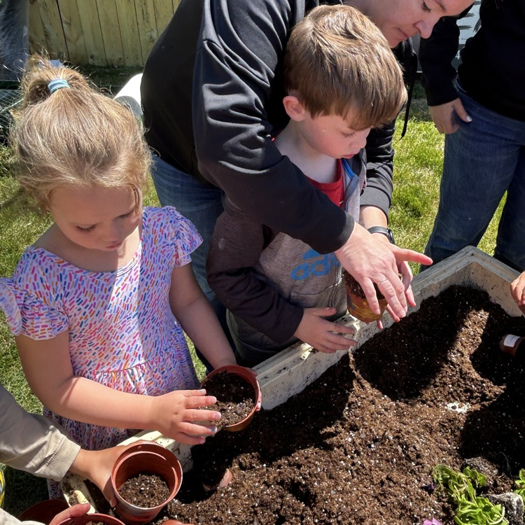 adding dirt 