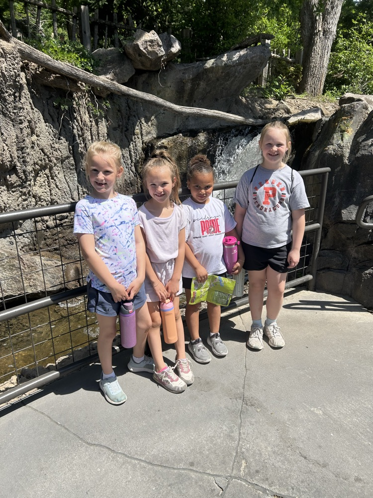 zoo