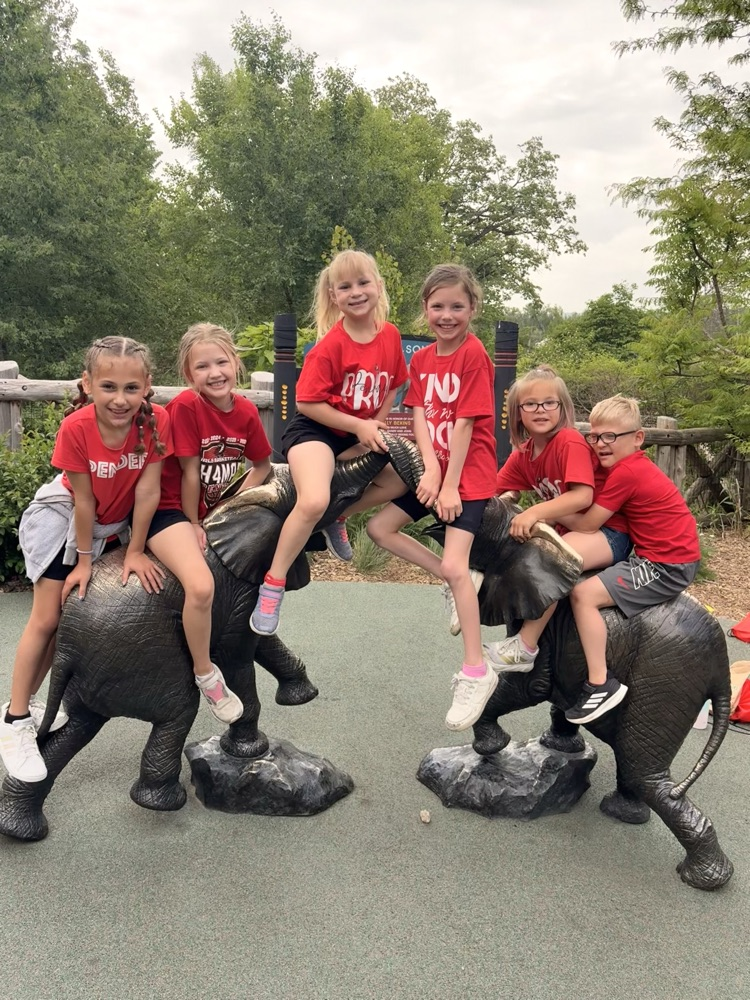 zoo