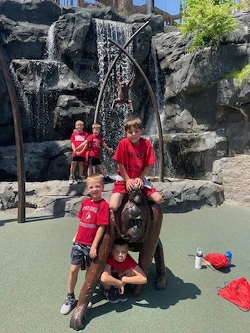 zoo