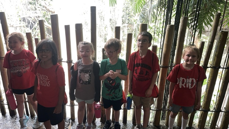 zoo