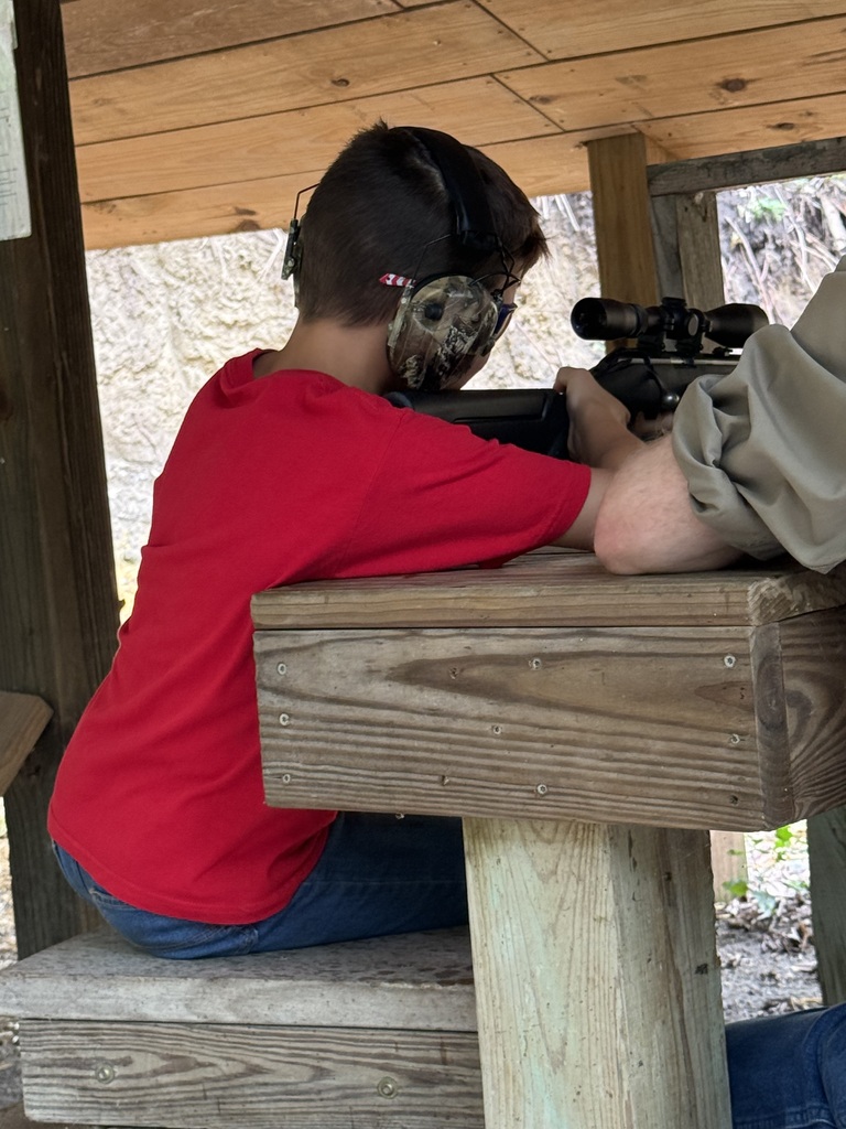 firearm safety