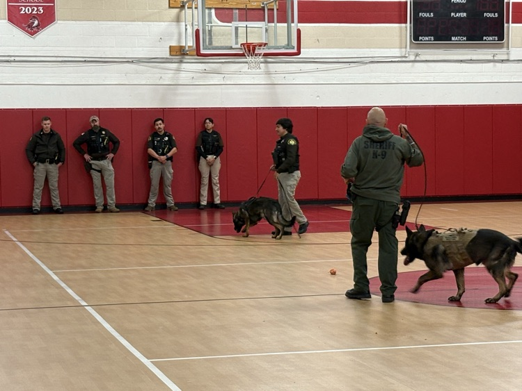 k9