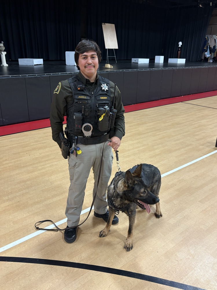 k9
