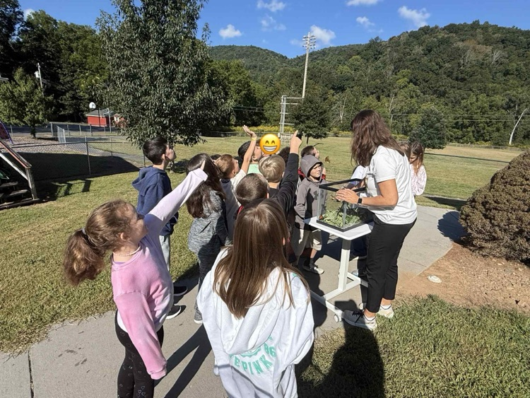students releasing butterflies 