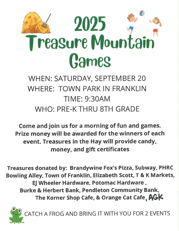 Treasure MountainGames