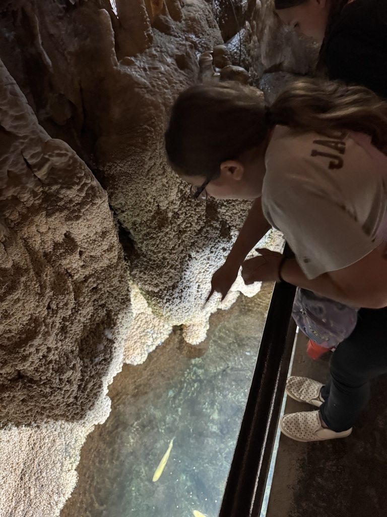 The Smoke Hole Caverns
