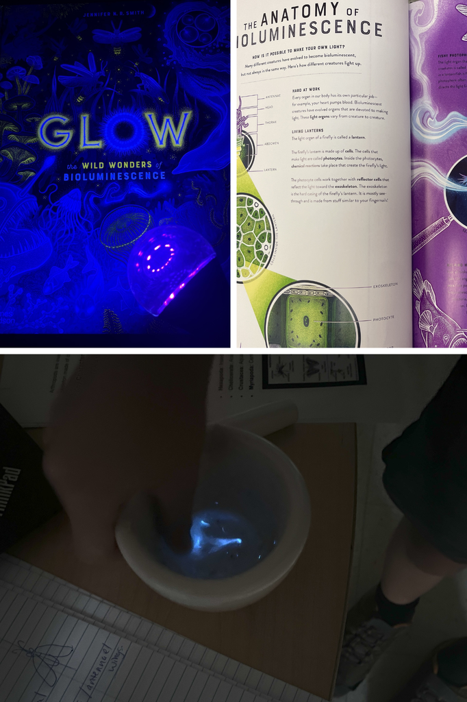 STEM activity