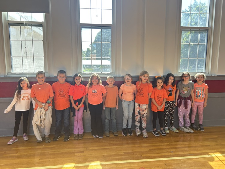 2nd grade class color day!