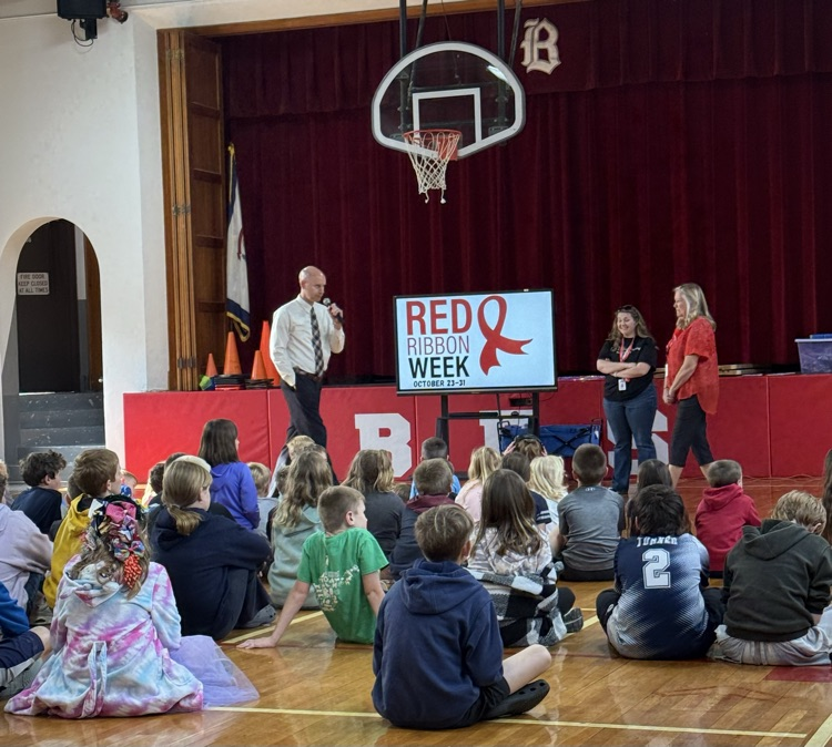 Red Ribbon Assembly 