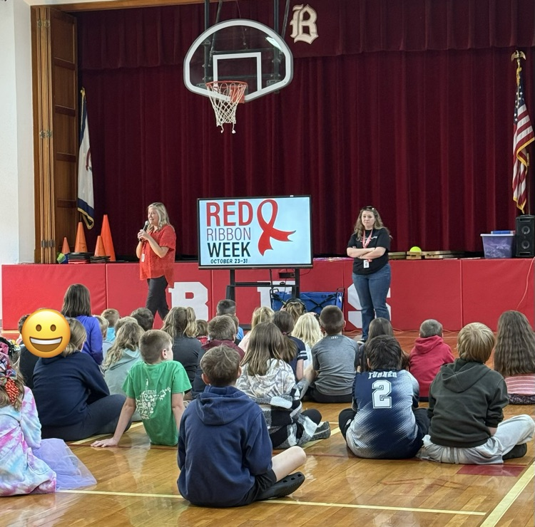 Red Ribbon Assembly 
