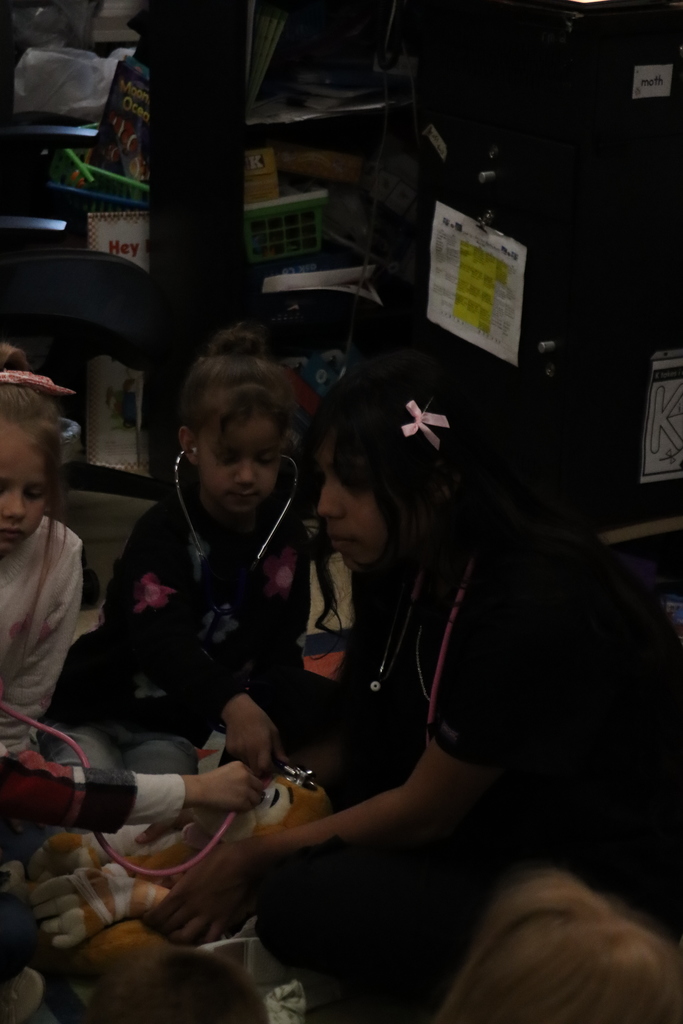 Students and nurse using stethoscope on stuff animals