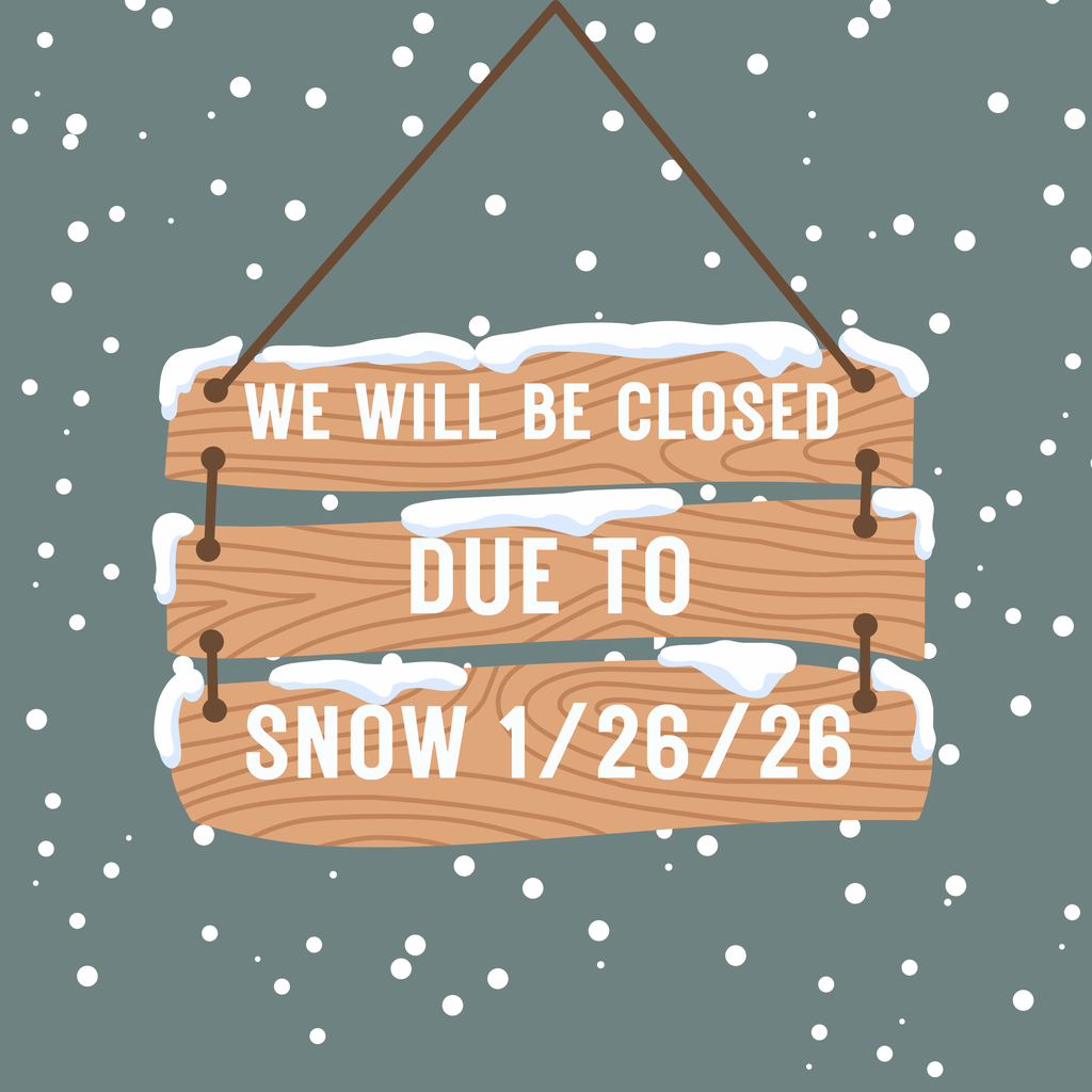 Snow day 1/26/26