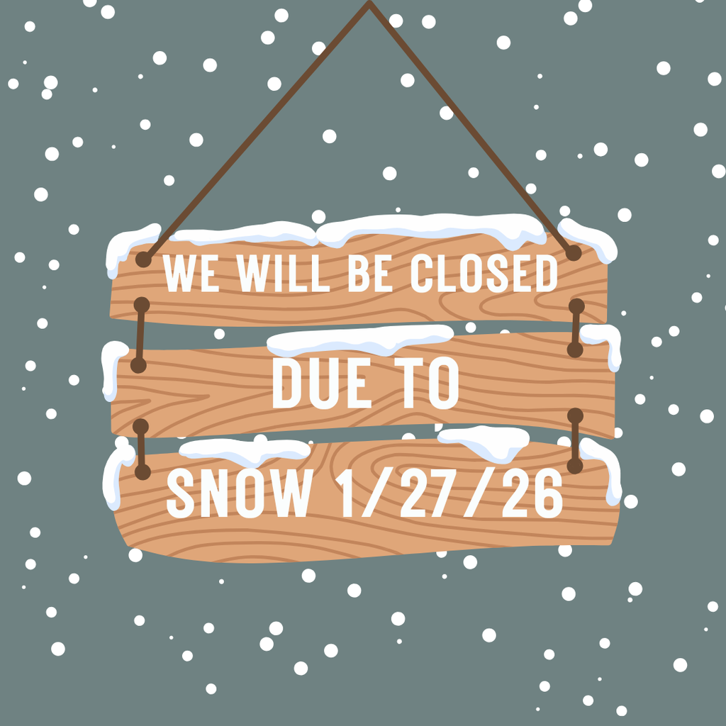 Snow Day 1/27/26