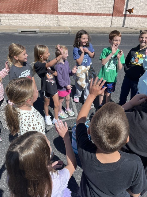 3rd Grade Butterflies
