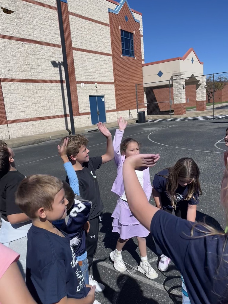 3rd Grade Butterflies